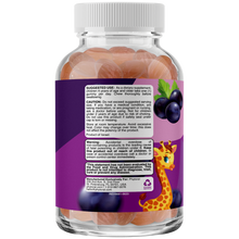 Load image into Gallery viewer, Kids Iron Gummies - 60 Gummies - Phytoral Vitamin Gummies