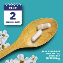 Load image into Gallery viewer, Mind Supplement - 60 Capsules - Phytoral Vitamin Gummies