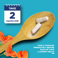 Load image into Gallery viewer, White Kidney Bean Extract 1200mg per serving - 60 Capsules - Phytoral Vitamin Gummies