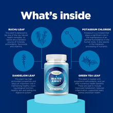 Load image into Gallery viewer, Water Away - 60 Capsules - Phytoral Vitamin Gummies