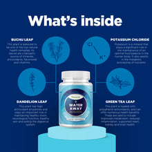 Load image into Gallery viewer, Water Away - 90 Capsules - Phytoral Vitamin Gummies