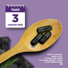 Load image into Gallery viewer, Activated Charcoal 1200mg per serving - 90 Capsules
